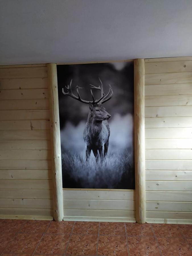 Homestay Janos Goscinne *